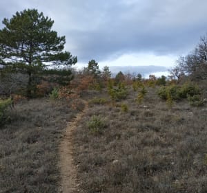 Randonnée entre Forcalquier et les Ybourgues. - Forcalquier - 6