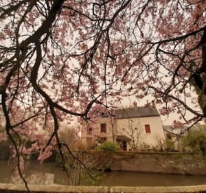 La randonnée de l'école - Romorantin-Lanthenay - 3