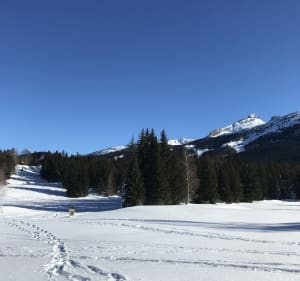 Witte ontkoppeling rond Clariant - Corrençon-en-Vercors - 4
