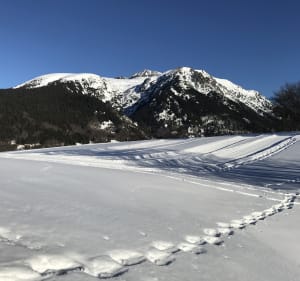 Rêver en blanc à l’Alpe du Grand Serre - La Morte - 3