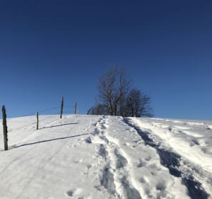 Rêver en blanc à l’Alpe du Grand Serre - La Morte - 4
