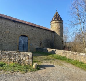 Balade entre vignes, vallons et carrières de pierres dorées - Chessy - 3