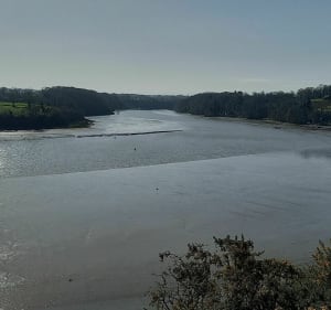 Plouër-sur-Rance, à la découverte des méandres de la Rance - Plouër-sur-Rance - 3