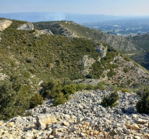 Le Vallon d'Auphant - Sénas - 3