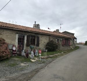 Circuit des menhirs en Pays de Retz - Chauve - 5