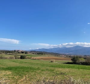 Depuis Villemolaque vers le Monastir del Camp en boucle - Villemolaque - 3