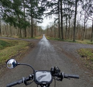 Tour des étangs de l'Avesnois en forêt de l'abbé Val Joly - Sains-du-Nord - 3