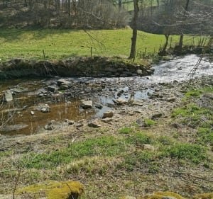 Sentier des moulins - Saint-Médard-en-Forez - 4