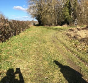 Promenade long de l’Ouche de Neuilly-les-Dijon à Fauverney - Neuilly-Crimolois - 4
