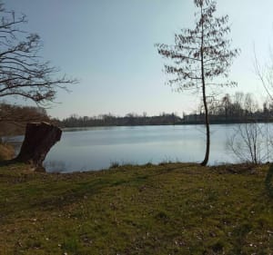 Balade en famille le long des plans d'eau : La prairie - Barjouville - 4