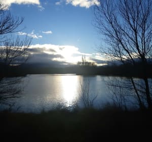 Balade Etang de Villelongue dels Monts + Le tech - Villelongue dels Monts - 4