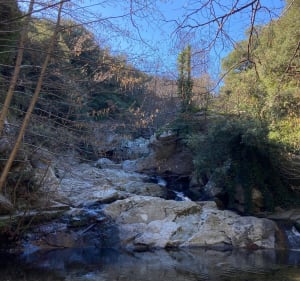 La cascade de Laroque par le Chemin des Disputes - Laroque-des-Albèrès - 5