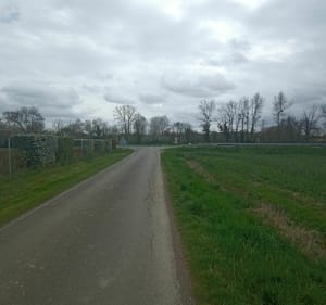 Bois du Crêt - Rancé - 3