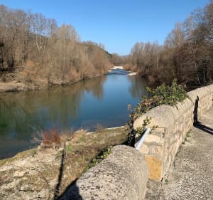 Lus bij de Saint-Etienne d'Issensac-brug - Brissac - 3