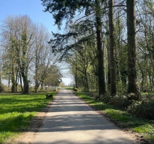 La boucle de Villeneuve Saint-Denis - Villeneuve-Saint-Denis - 4