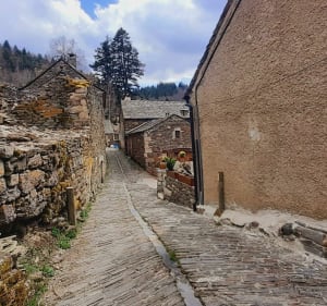 Auriac, une pepite sur l'Ubac du Mont-Lozère. - Allenc - 3