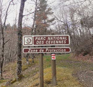 Auriac, une pepite sur l'Ubac du Mont-Lozère. - Allenc - 4