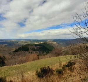 Auriac, une pepite sur l'Ubac du Mont-Lozère. - Allenc - 5