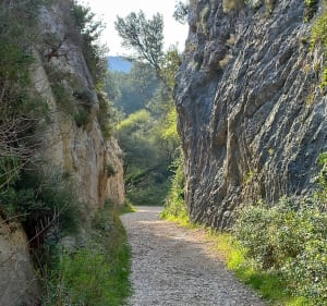 Les Deux Trous - Saint-Rémy-de-Provence - 5