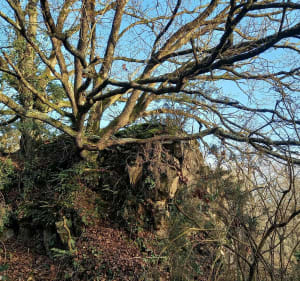 Beklimming van de Mont Garrot en kronkel van de Rance. - La Ville-ès-Nonais - 4