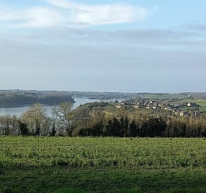 Beklimming van de Mont Garrot en kronkel van de Rance. - La Ville-ès-Nonais - 5