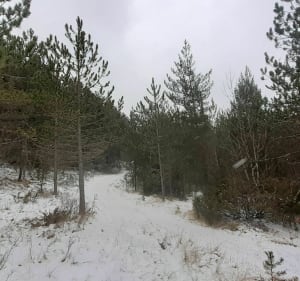 Le sentier du Saut de la Mule - Sainte-Hélène - 5