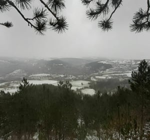 Le sentier du Saut de la Mule - Sainte-Hélène - 4