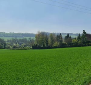 Sentier de la Garenne - Herbinghen - 3