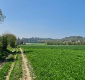 Sentier de la Garenne - Herbinghen - 4