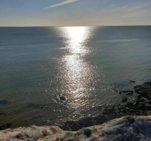 Entre village et océan - Meschers-sur-Gironde - 4