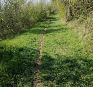 Petite balade en bord de Saône en famille à VTC - Belleville - 3