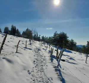Lac Noir, Lac du Forlet - Orbey - 4