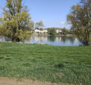 Petite balade en bord de Saône en famille à VTC - Belleville - 5