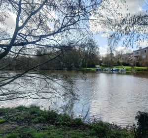 Balade sur Vertou et la Sèvre Nantaise - Vertou, Nantes - 4