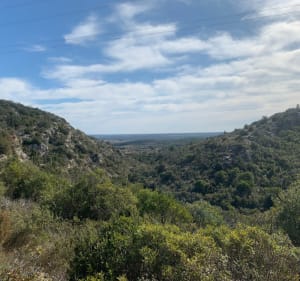 Le Bois de Paris : sa grotte et sa table d’orientation - Garrigues - 3