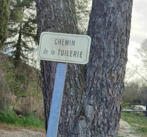 Sortie dans les collines de Vic-le-Fesq - Vic-le-Fesq - 4