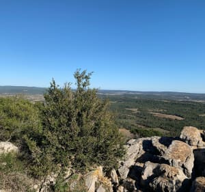 Le Bois de Paris : sa grotte et sa table d’orientation - Garrigues - 4