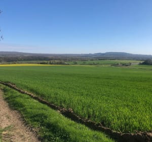 Balade en vallée de Chauvry - Villiers-Adam - 4