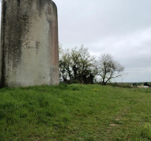 Ontdekking van de paden en routes langs de oevers van de Sèvres en de Moine - Gétigné - 5