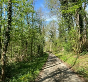 Belle balade en plein cœur des noyers - Cognin-les-Gorges - 4