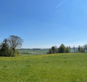 Entre They et la Neuveville-sous-Montfort - They-Sous-Montfort - 5