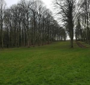 Rando dans le Parc de Louis14 à Versailles - Versailles - 5