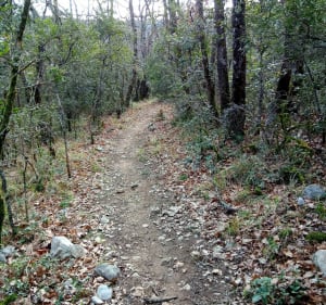 Sentier de Gaud - Saint Remèze - 3