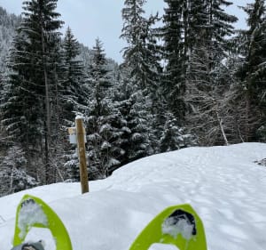 Les châteaux, alpage de Praz-sur-Arly - Praz-sur-Arly - 3