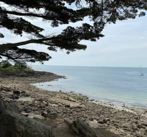 Tour de la pointe d’Arzon - Arzon - 3