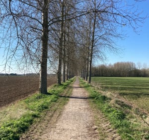 La Canteraine : entre pâturages et petits bois - Noyelles-lès-Seclin - 3