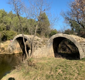 Tom - Tour de Vias, pont Romain, Notre-Dame-des-Champs, Les Matelles - Les Matelles - 4