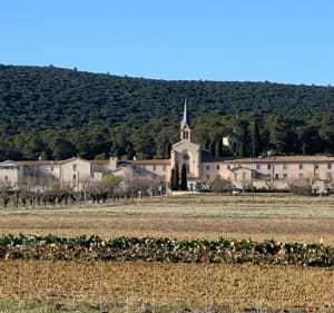 Tom - Tour de Vias, pont Romain, Notre-Dame-des-Champs, Les Matelles - Les Matelles - 5