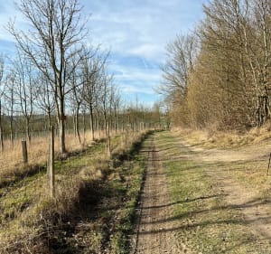 Ballade autour de Beaucourt-sur-l'Hallue - Beaucourt-sur-l'Hallue - 3