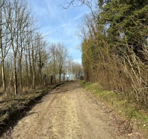Ballade autour de Beaucourt-sur-l'Hallue - Beaucourt-sur-l'Hallue - 4